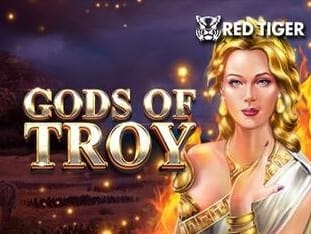 Gods Of Troy game cover